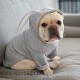 Sehr niedlicher Hunde Pullover Kaninchen Ohr Hundebekleidung Katze Kleidung Hund und Katze französische Bulldogge Kleidung lusti