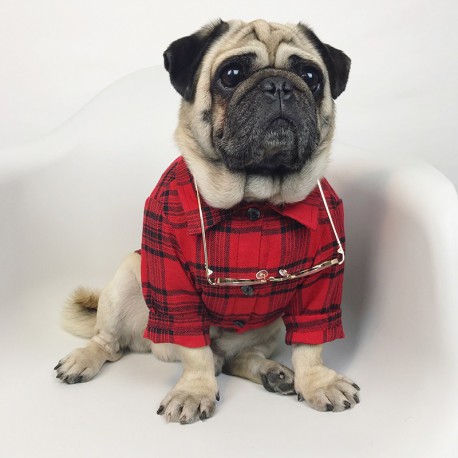 Rot kariertes Hemd fürn Mops Französisch Bulldog Shirt Bulldoge, cool aussehende Hund Sommerkleidung Katze Tierkleidung