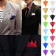 Seiden Satin Einstecktuch Hankerchief einfarbig Hochzeit Männer Anzug Anzugtuch einstecken